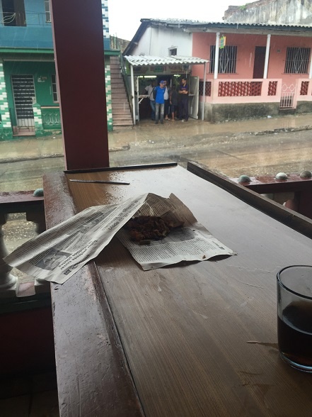 残飯を猫に持って帰る。で、多分またハエがたかる